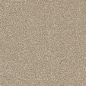 Textured Saxony Overlook Brown Carpet
