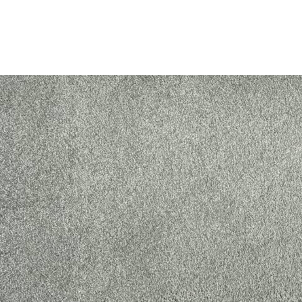 Plush Metal Gray Carpet