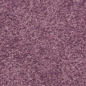 Casual Texture Cupcake Purple Carpet