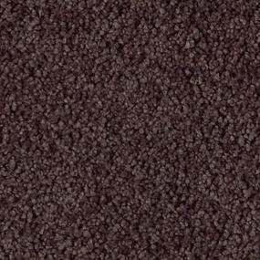 Textured Saxony Fantasia Brown Carpet