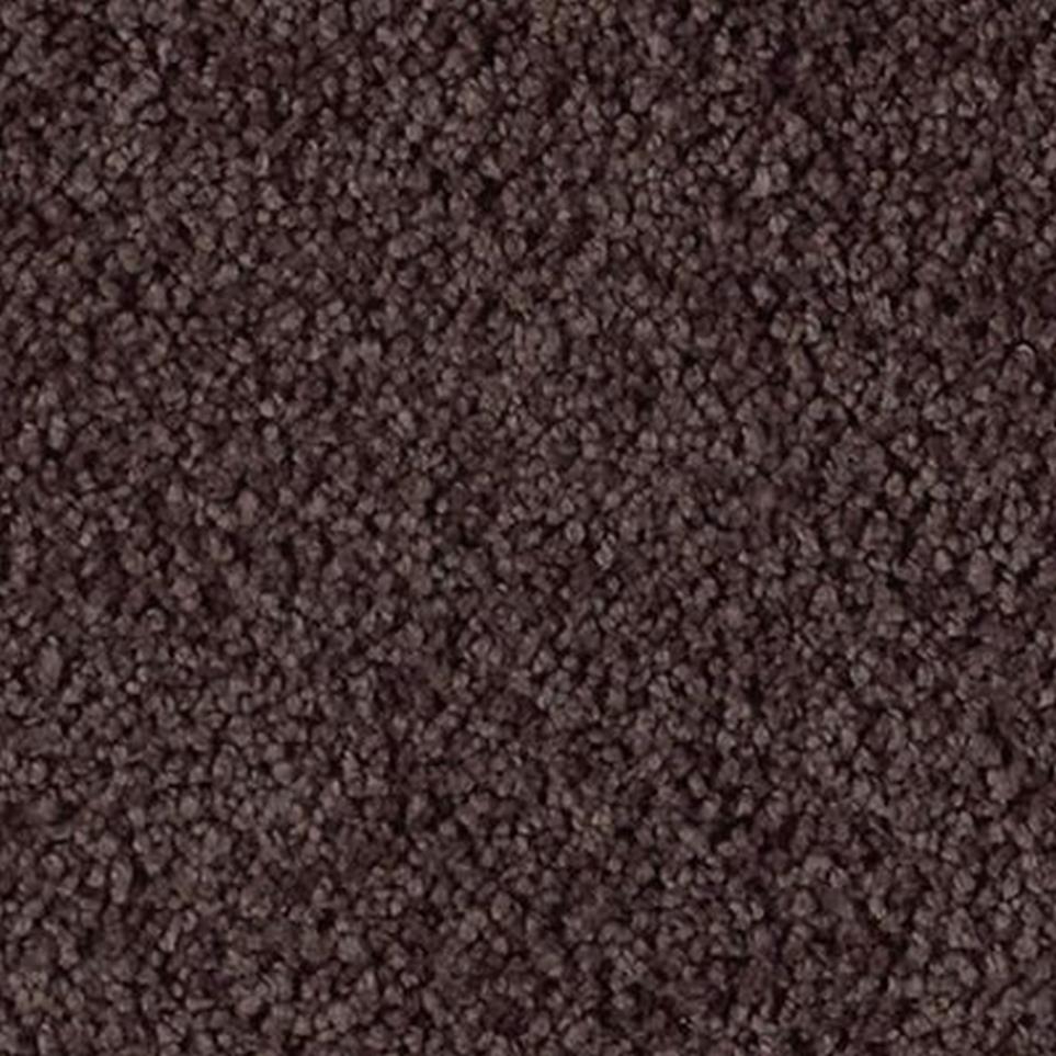 Textured Saxony Fantasia Brown Carpet