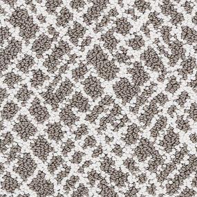 Loop Brownstone Gray Carpet