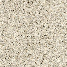 Textured Saxony Tea House Beige/Tan Carpet
