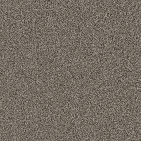 Texture Ash Gray Carpet