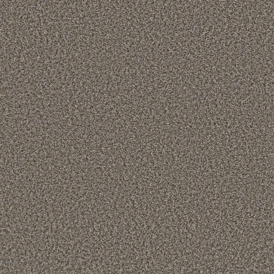 Texture Ash Gray Carpet