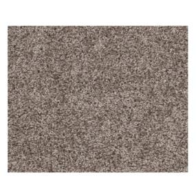Casual Texture Roasted Almond Beige/Tan Carpet