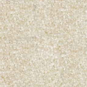 Textured Saxony Harvest Moon White Carpet