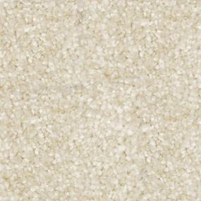 Texture Harvest Moon White Carpet