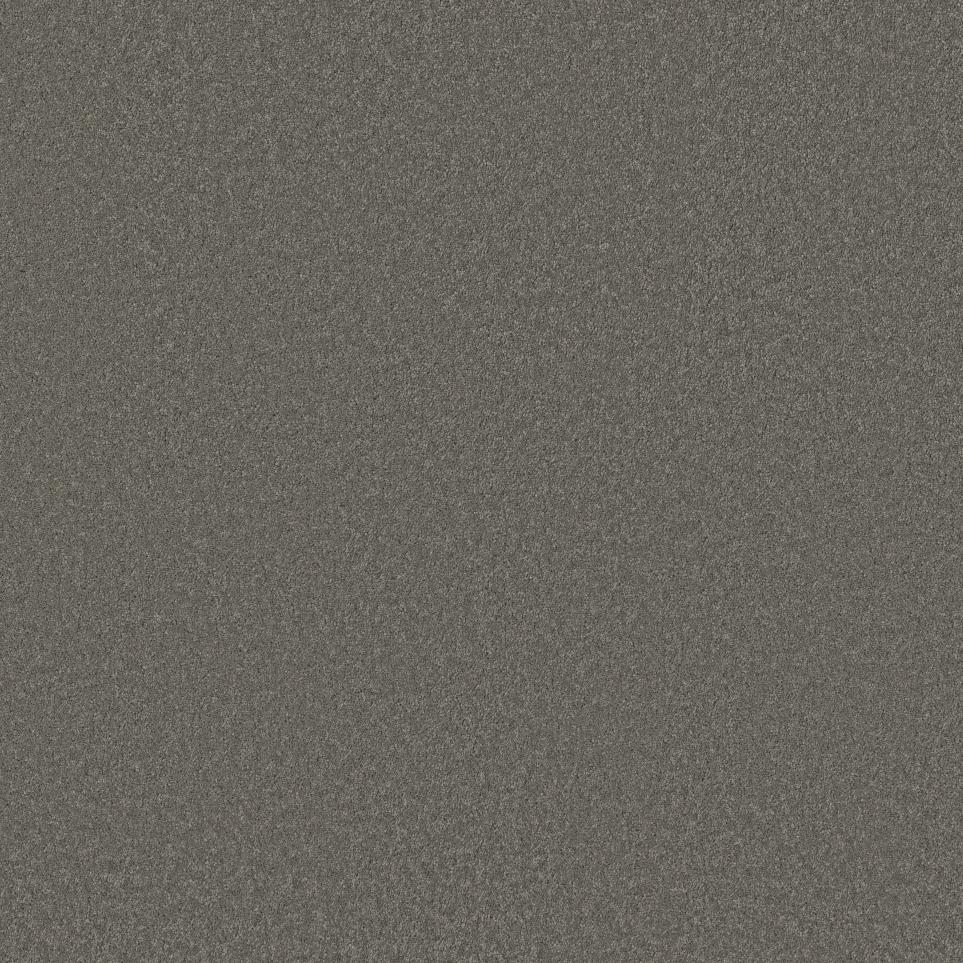 Textured Saxony Greyhound Gray Carpet