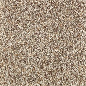 Textured Saxony Warm Fog Beige/Tan Carpet