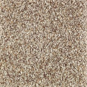 Textured Saxony Warm Fog Beige/Tan Carpet