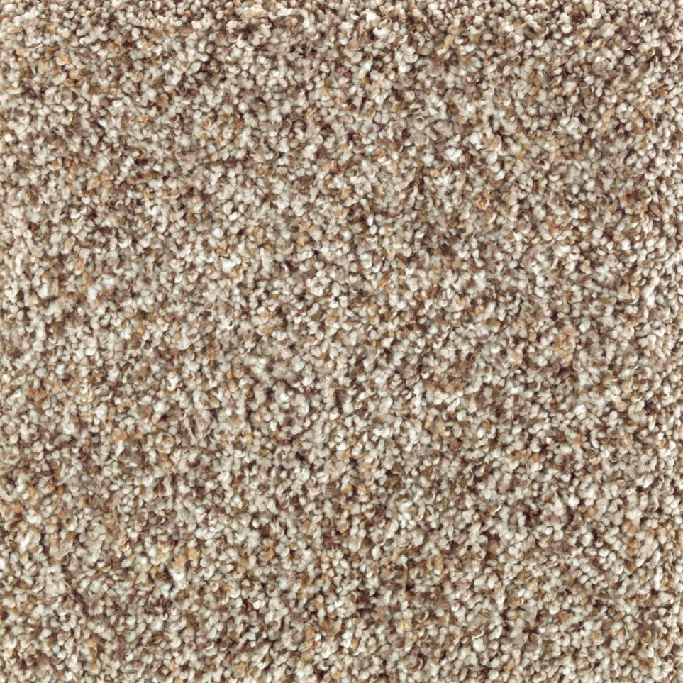 Texture Warm Fog Beige/Tan Carpet