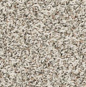 Texture Seagull Beige/Tan Carpet