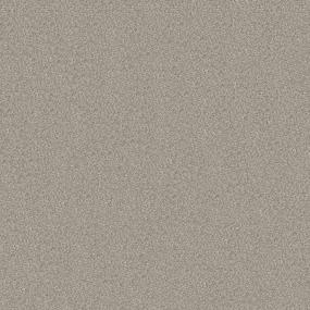 Textured Saxony Special Event Beige/Tan Carpet