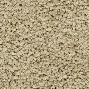 Textured Saxony Villa Brown Carpet