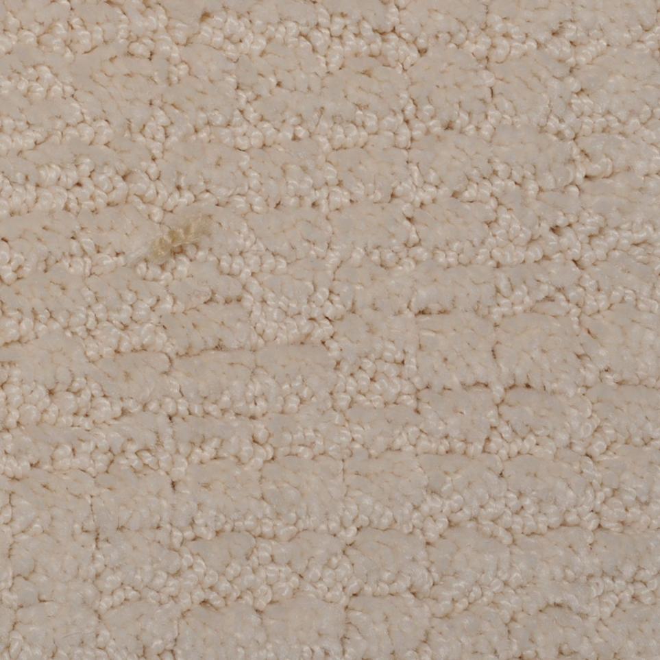Pattern Cozy Beige/Tan Carpet