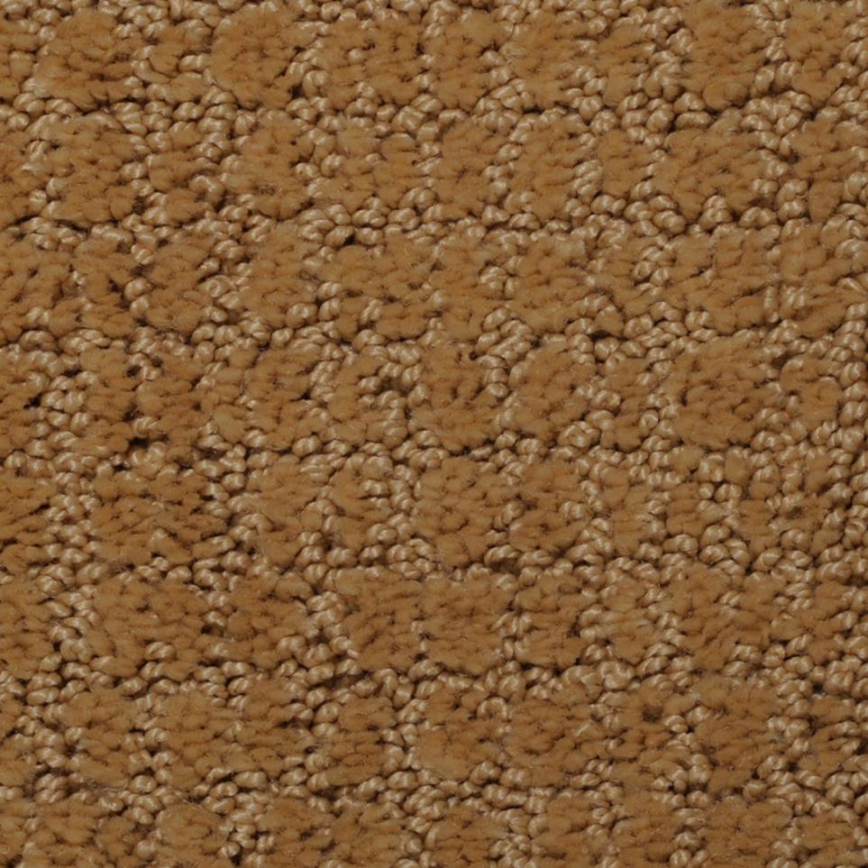 Pattern Cupola Beige/Tan Carpet