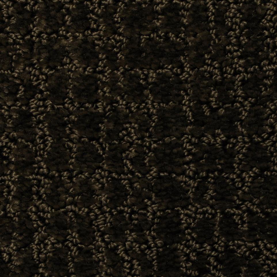 Pattern Baize Black Carpet
