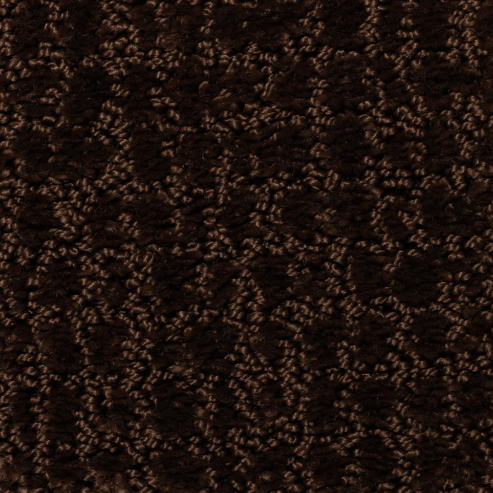 Pattern Homestead Brown Carpet