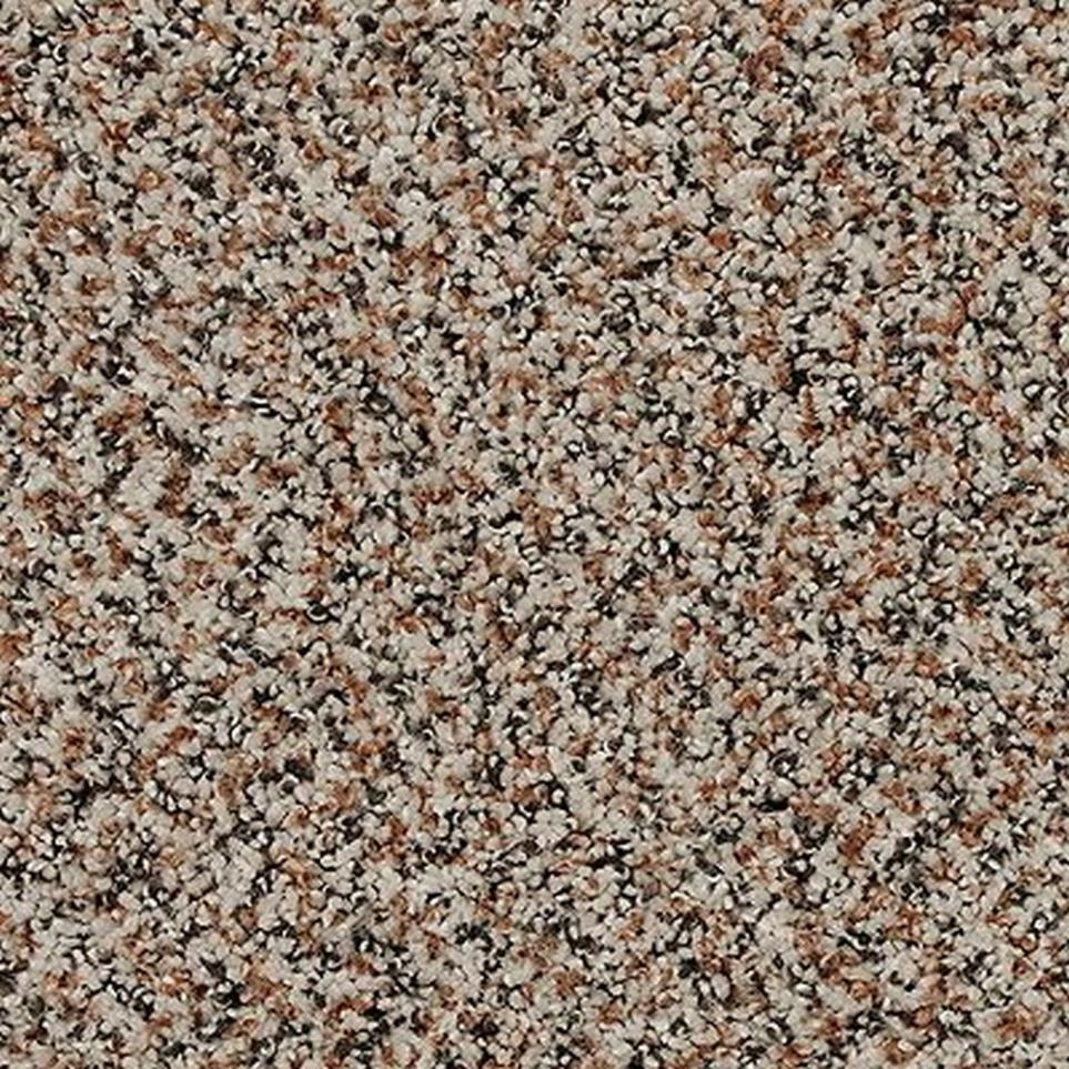 Textured Saxony Fine White White Carpet