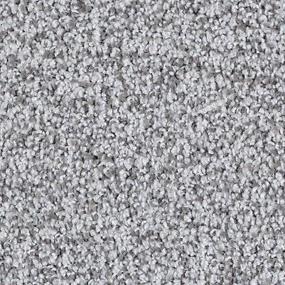 Textured Saxony Airway Gray Carpet