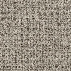 Loop Taupe Hue Beige/Tan Carpet