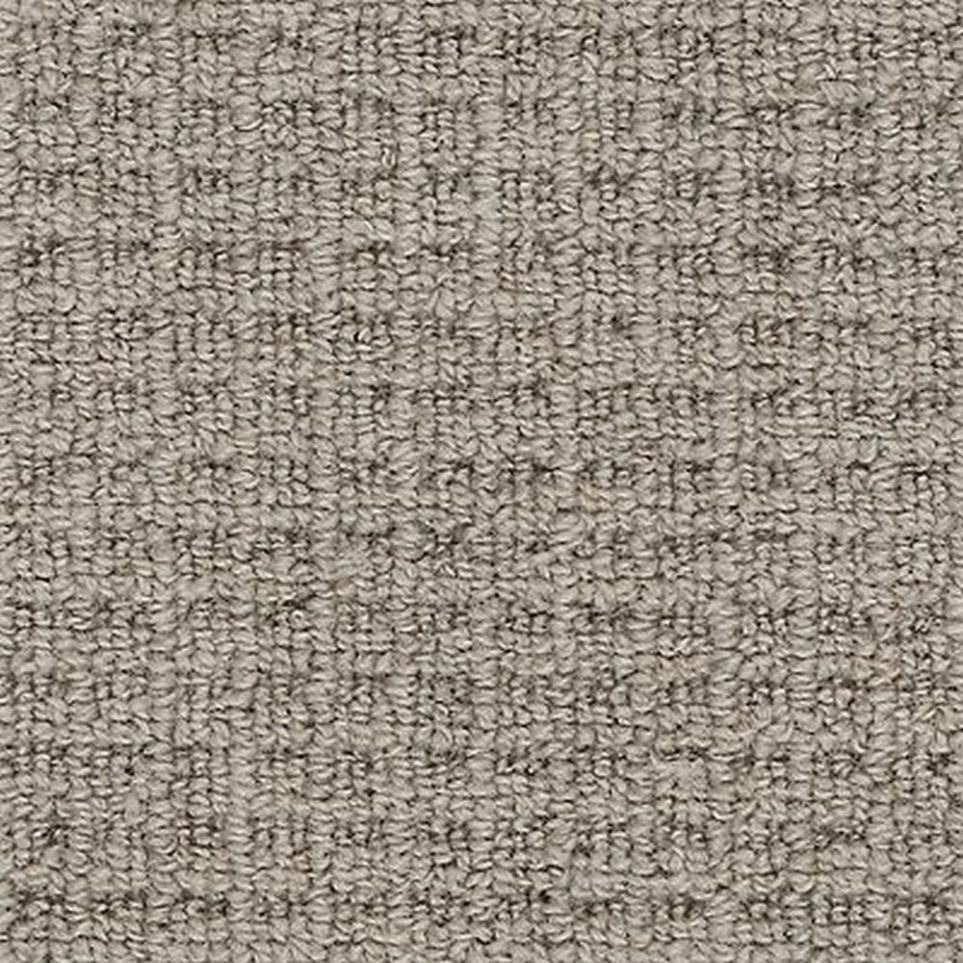 Loop Taupe Hue Beige/Tan Carpet