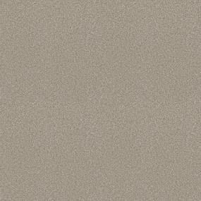 Textured Saxony Detailed Finish Beige/Tan Carpet