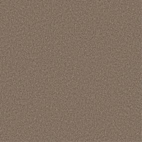 Texture Timber Brown Carpet