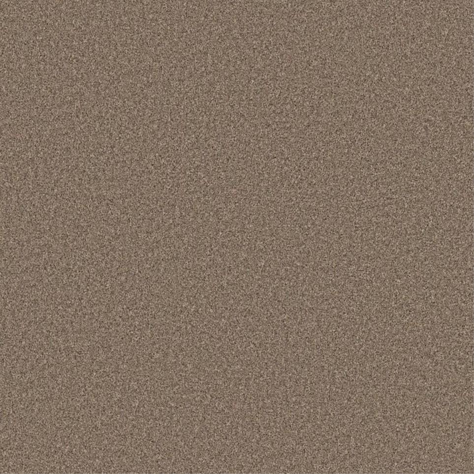 Texture Timber Brown Carpet