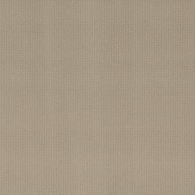 Loop Beachwood Beige/Tan Carpet