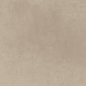 Tile Taupe Polished Beige/Tan Tile