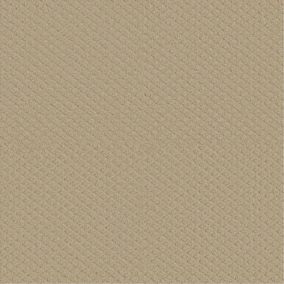 Pattern Guest House Beige/Tan Carpet