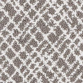 Loop Brownstone Gray Carpet