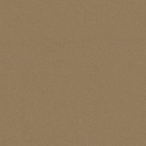 Cut Pile Peanut Butter Beige/Tan Carpet