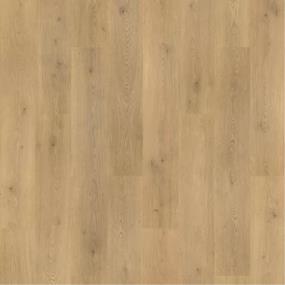 Plank Tulip Shell Oak Medium Finish Laminate