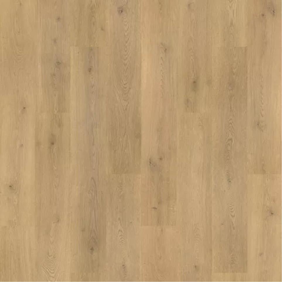 Plank Tulip Shell Oak Medium Finish Laminate