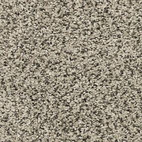 Textured Saxony Bird Song Gray Carpet