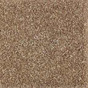 Textured Saxony Native Soil Beige/Tan Carpet