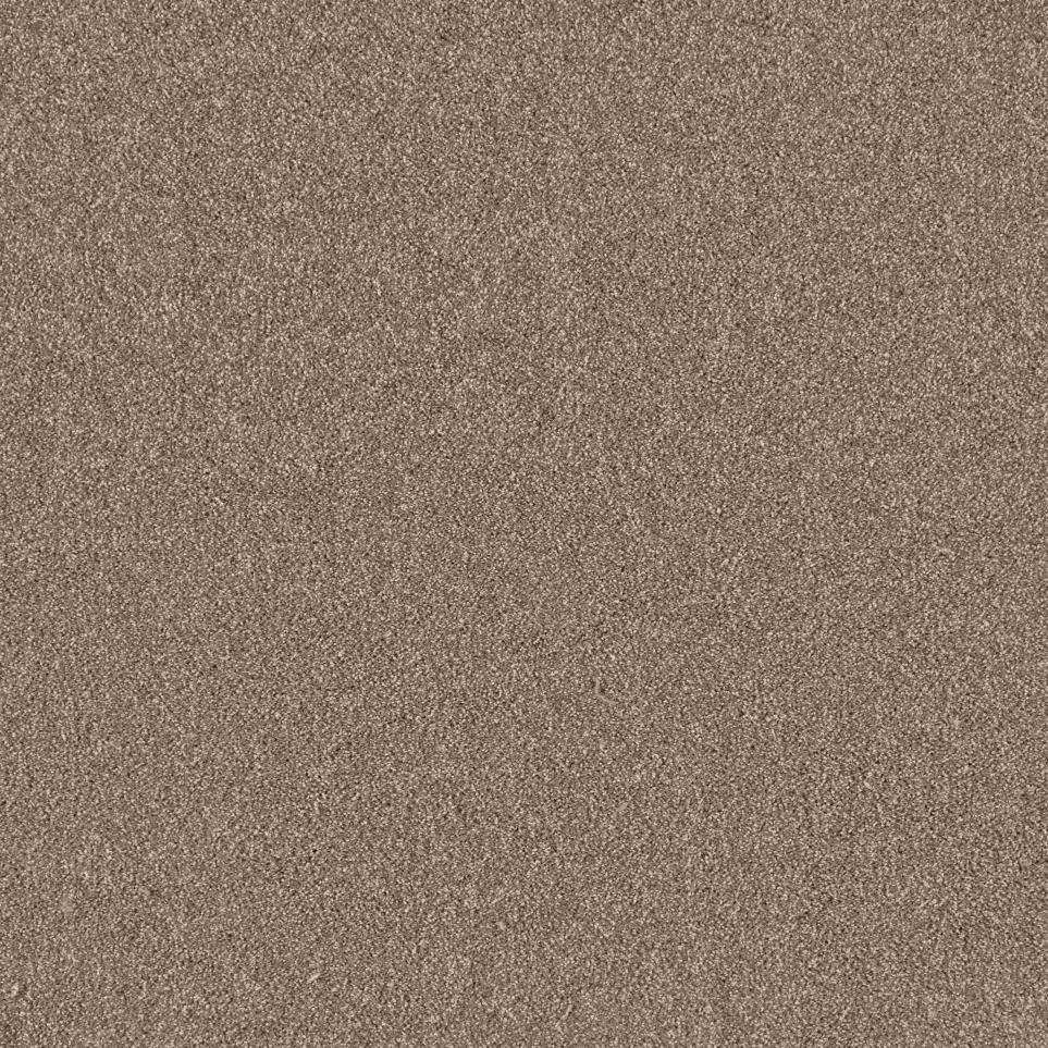Texture Native Soil Beige/Tan Carpet