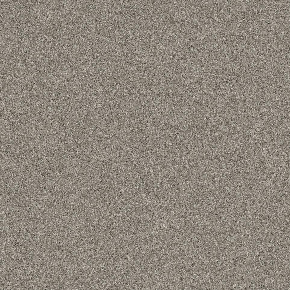 Casual Texture Frost Beige/Tan Carpet