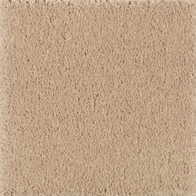 Textured Saxony Dogwood Beige/Tan Carpet