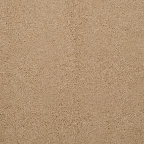 Casual Texture Husk Brown Carpet