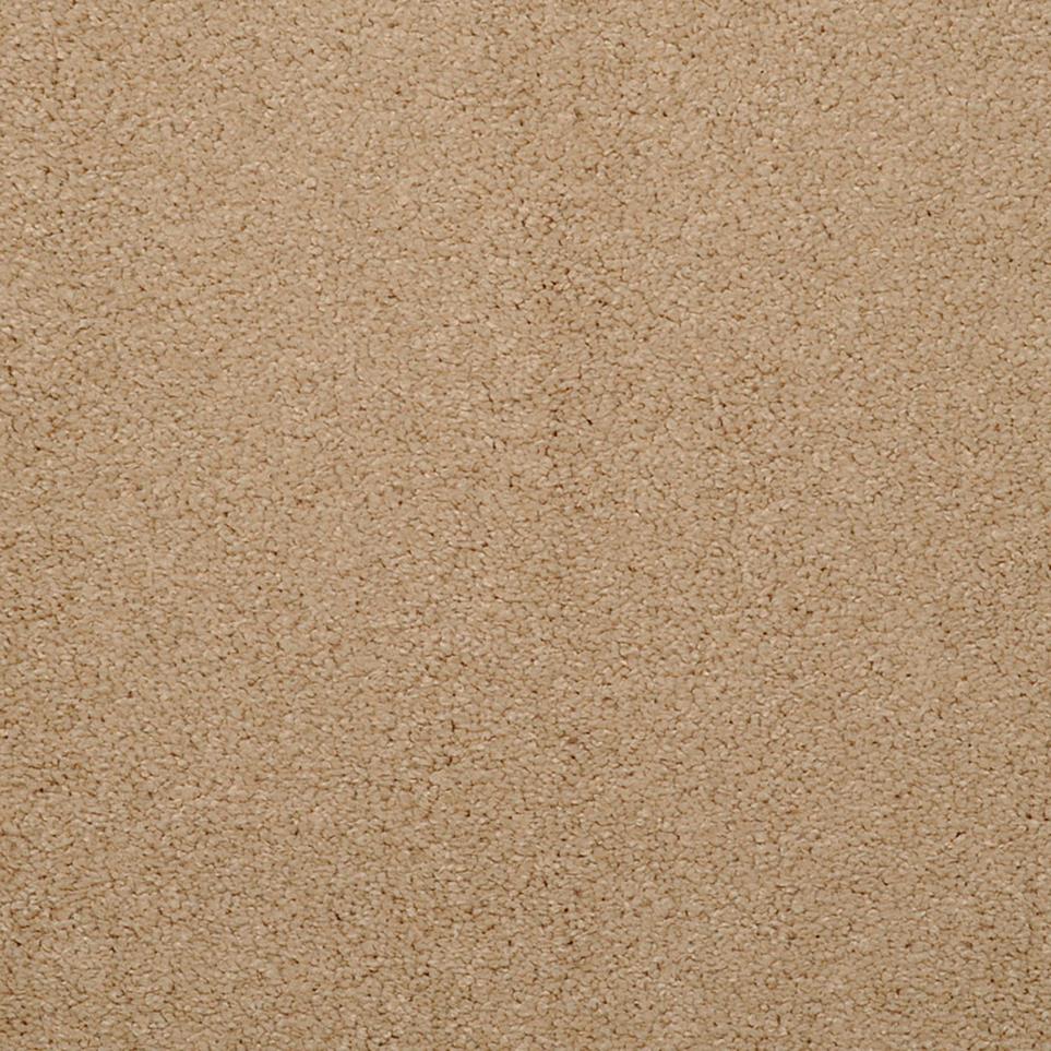 Casual Texture Husk Brown Carpet