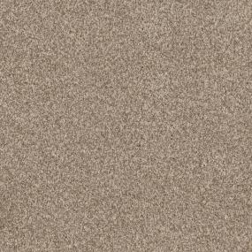 Casual Texture Coral Blush Beige/Tan Carpet