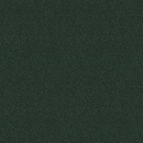 Textured Saxony Mistletoe Green Carpet