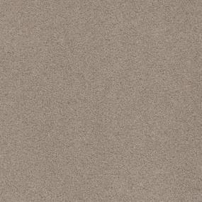 Cut Pile Enjoyable Brown Carpet