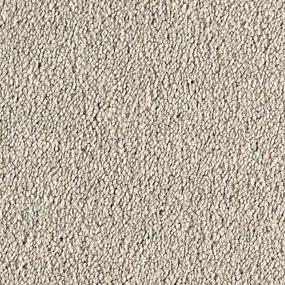 Textured Saxony Ashton Gray Carpet