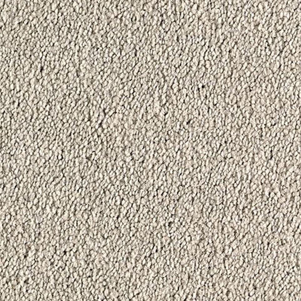 Textured Saxony Ashton Gray Carpet