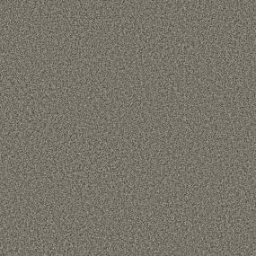 Textured Saxony Sable Gray Carpet
